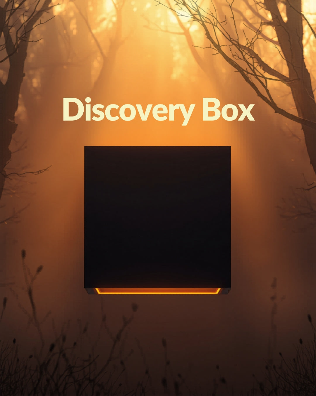 Discovery Kit